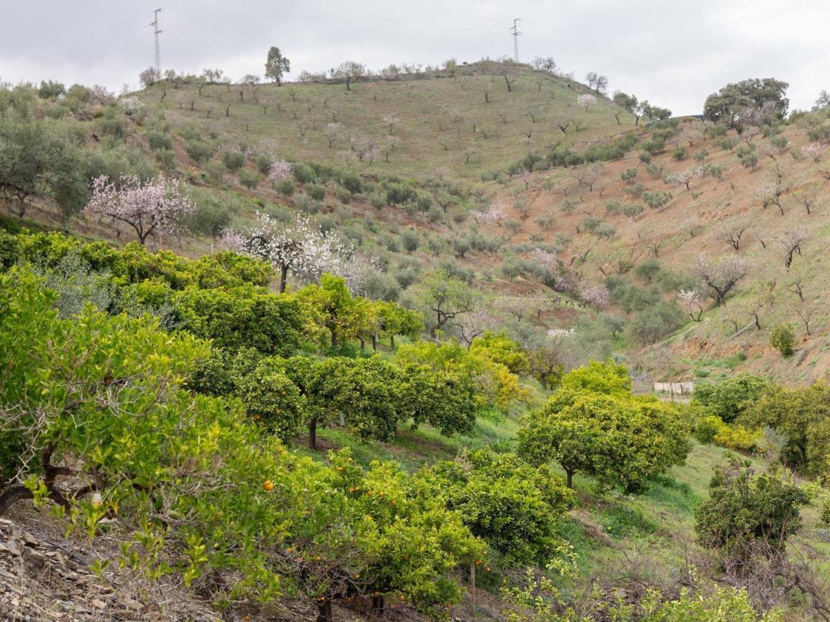 Alojamiento Rural Casa La Era Almogía Εξωτερικό φωτογραφία
