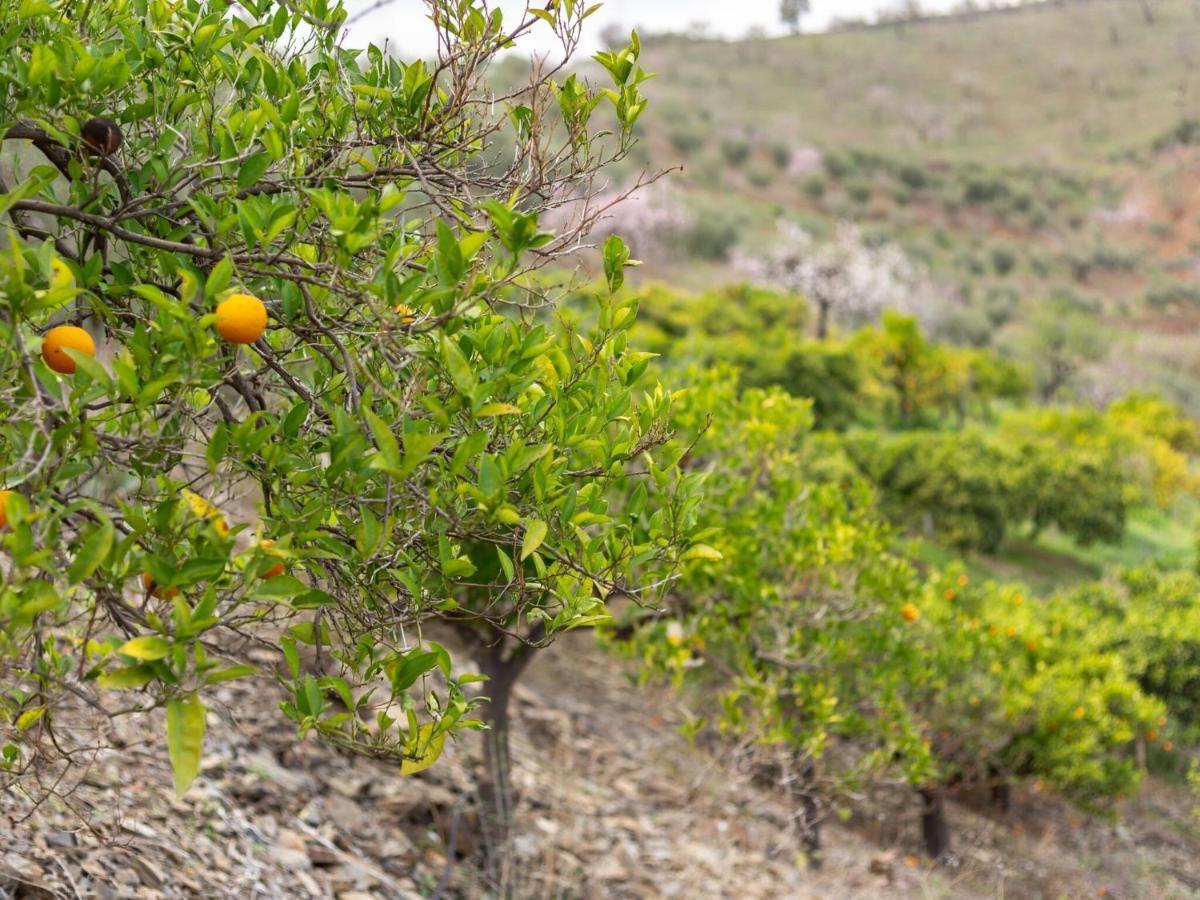 Alojamiento Rural Casa La Era Almogía Εξωτερικό φωτογραφία